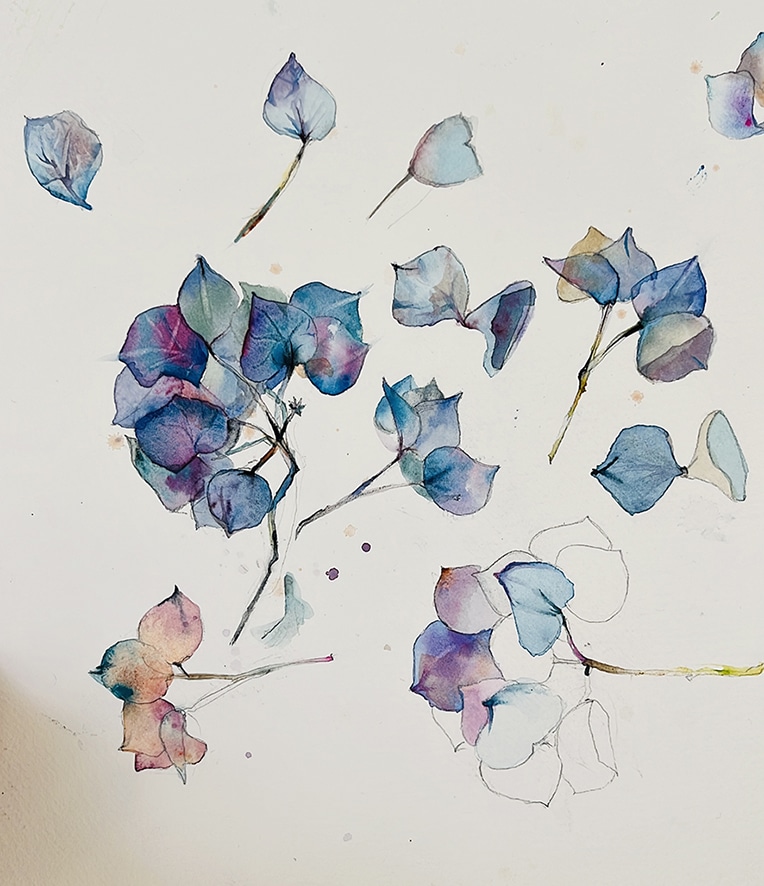 Fleurs aquarelle hortensia 5