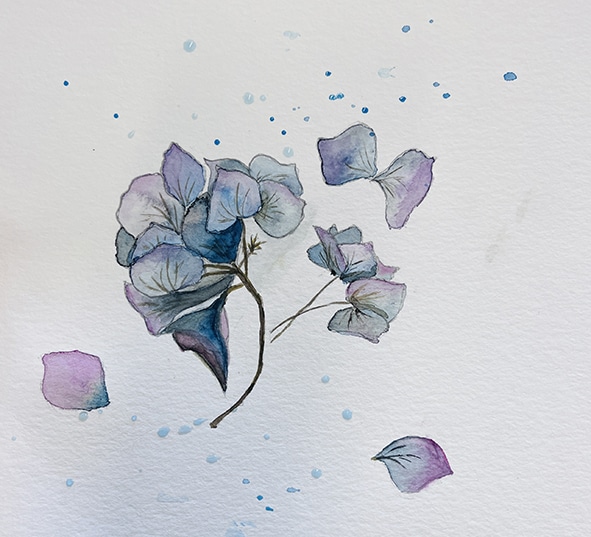 Fleurs aquarelle hortensia 8