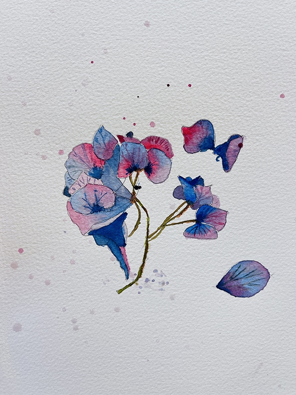 Fleurs aquarelle hortensia 9