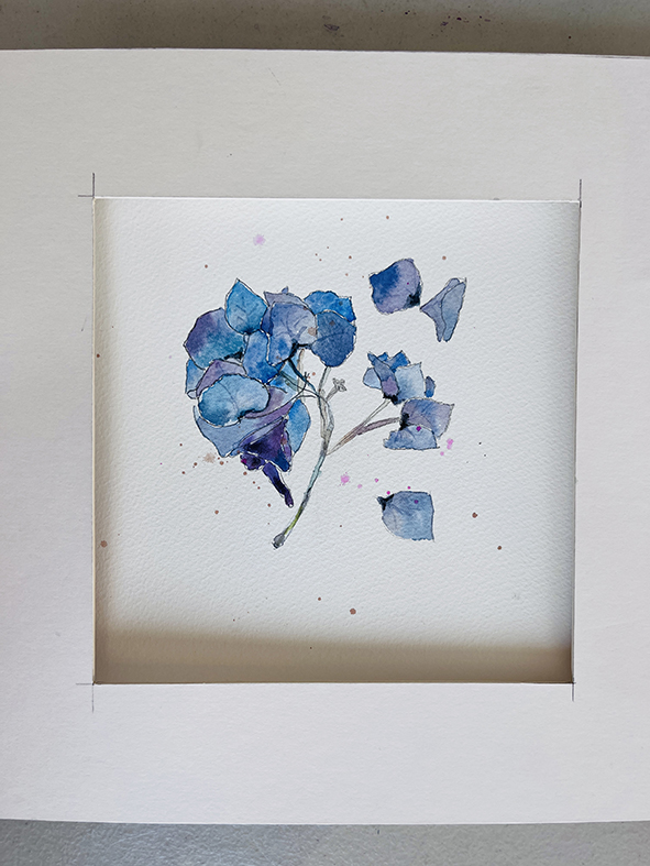 Fleurs aquarelle hortensia 19