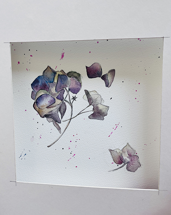 Fleurs aquarelle hortensia 20