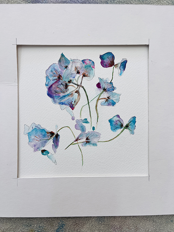 Fleurs aquarelle hortensia 23