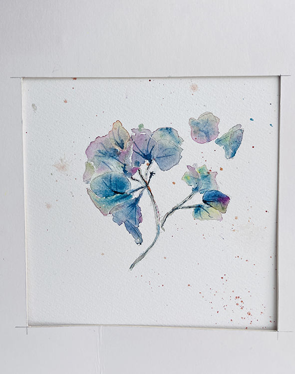 Fleurs aquarelle hortensia 25