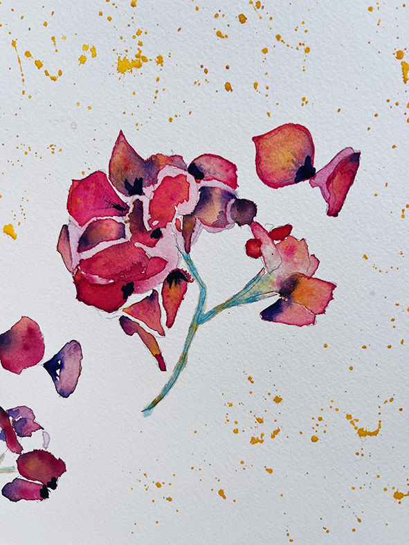 Fleurs aquarelle hortensia 27