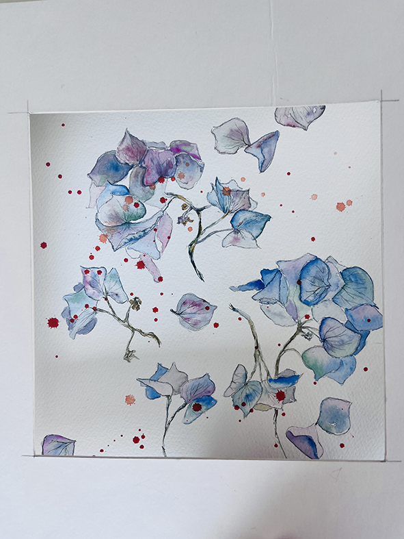 Fleurs aquarelle hortensia 28