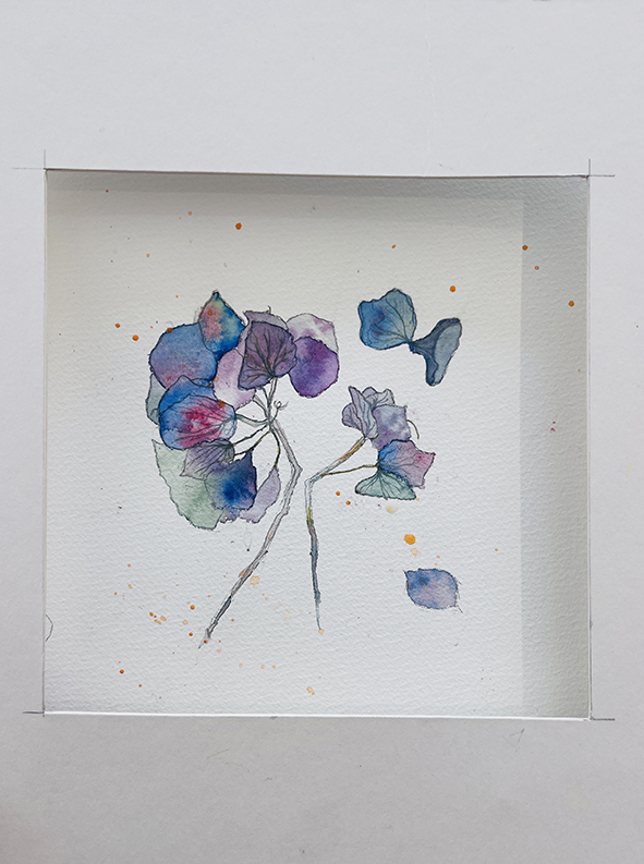 Fleurs aquarelle hortensia 30