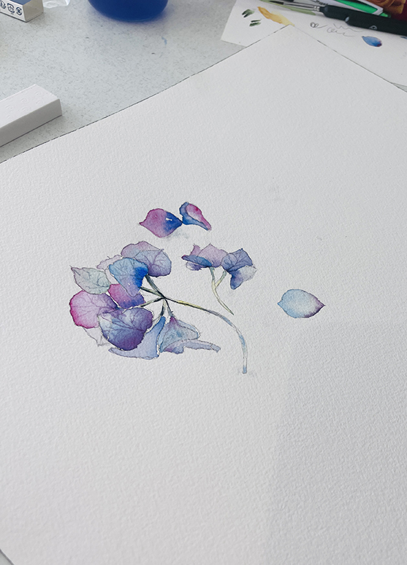 Fleurs aquarelle hortensia 32