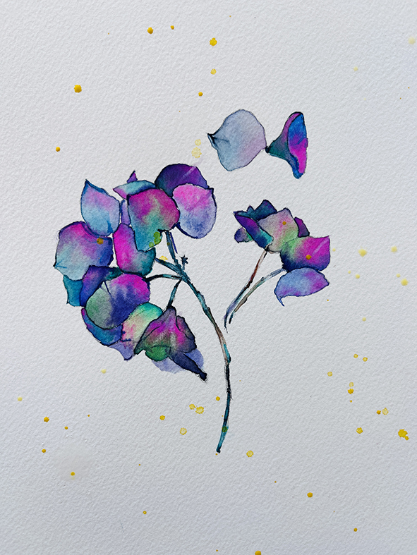 Fleurs aquarelle hortensia 34