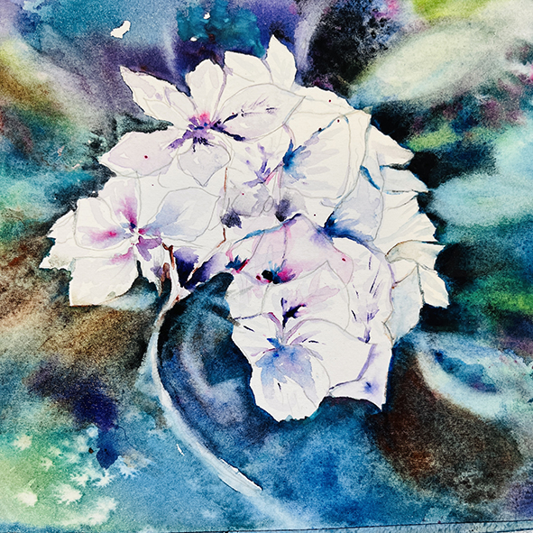 Fleurs aquarelle hortensia 37