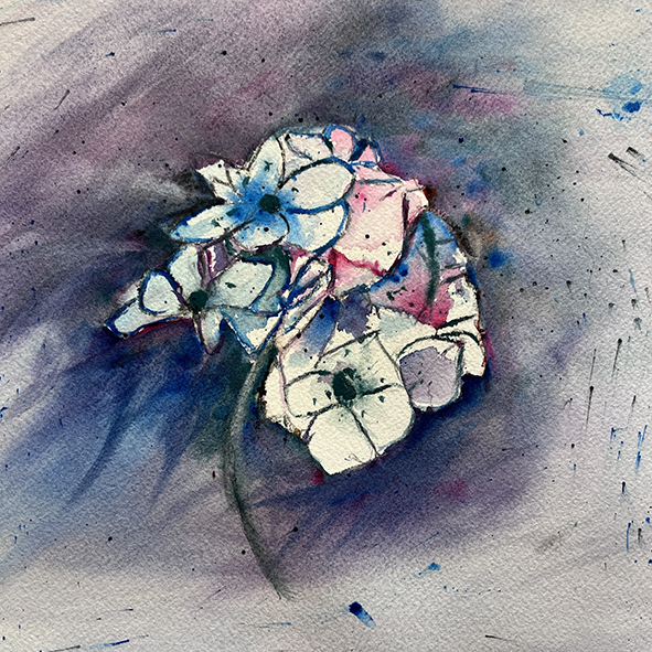 Fleurs aquarelle hortensia 39