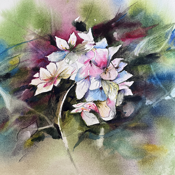 Fleurs aquarelle hortensia 40