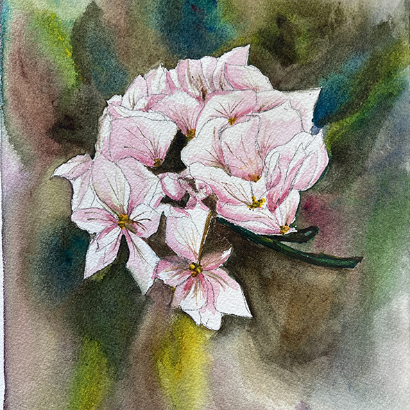 Fleurs aquarelle hortensia 44