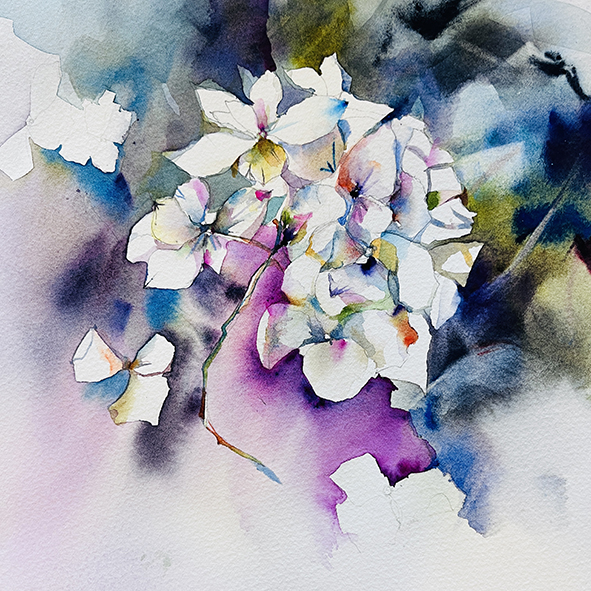 Fleurs aquarelle hortensia 50