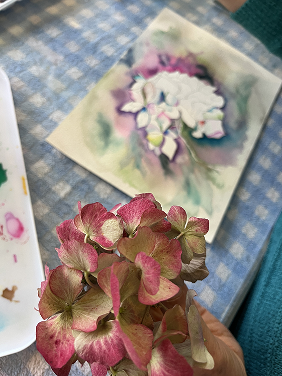 Fleurs aquarelle hortensia 51