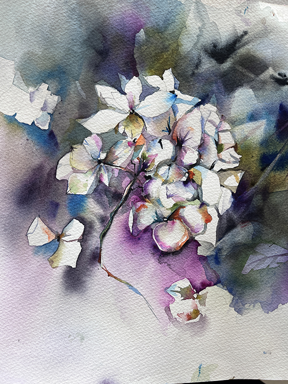 Fleurs aquarelle hortensia 55