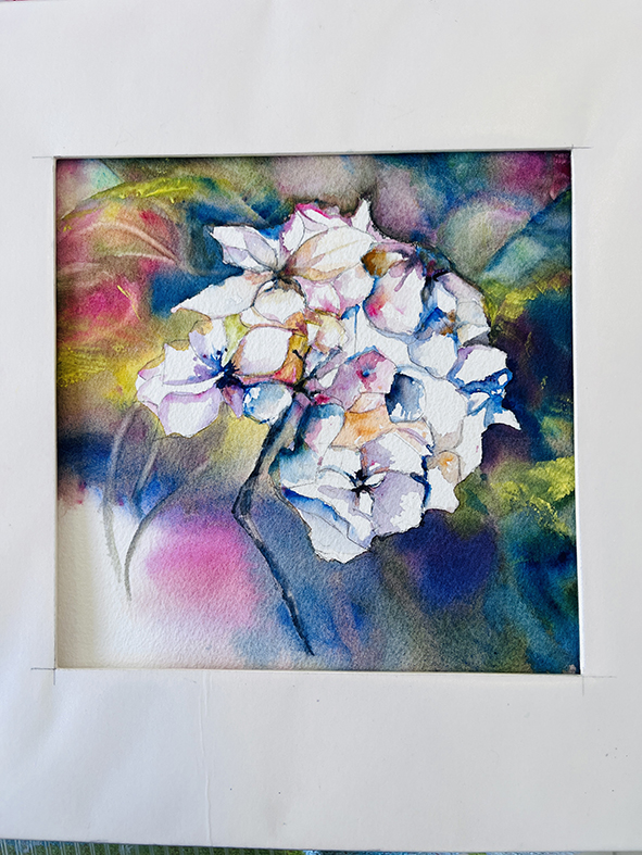 Fleurs aquarelle hortensia 56