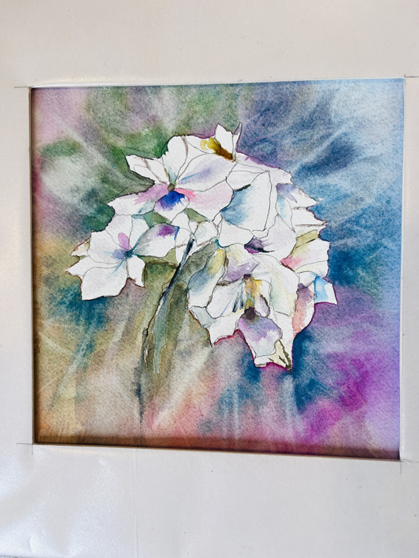 Fleurs aquarelle hortensia 60