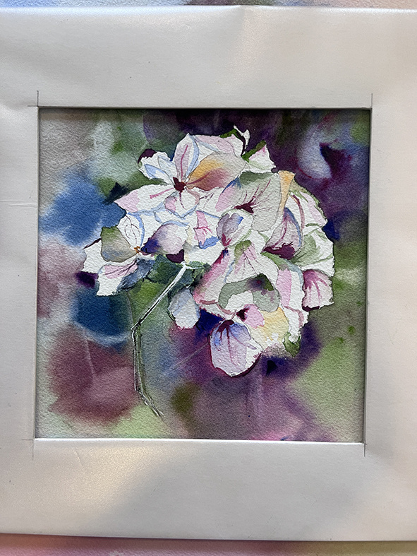 Fleurs aquarelle hortensia 61