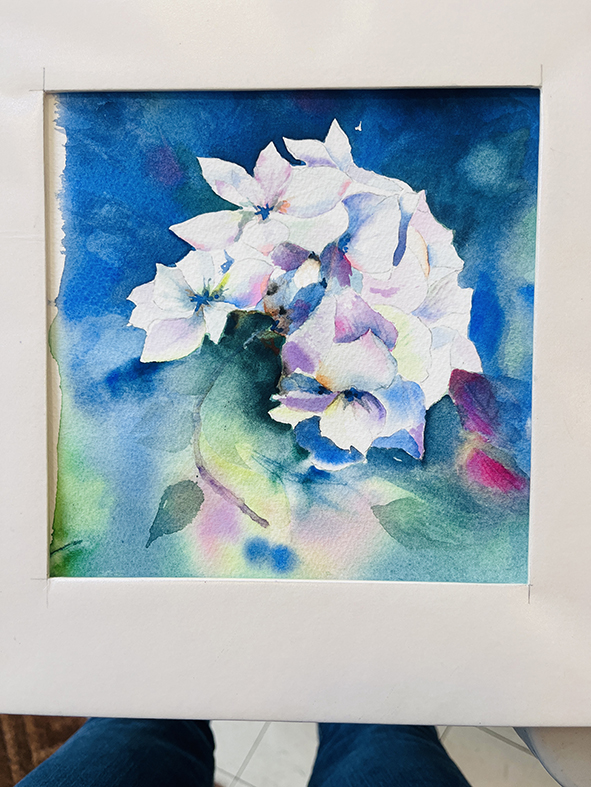 Fleurs aquarelle hortensia 62