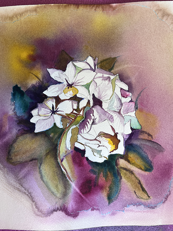 Fleurs aquarelle hortensia 64