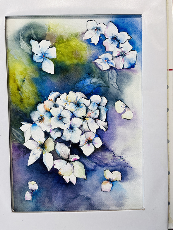 Fleurs aquarelle hortensia 66