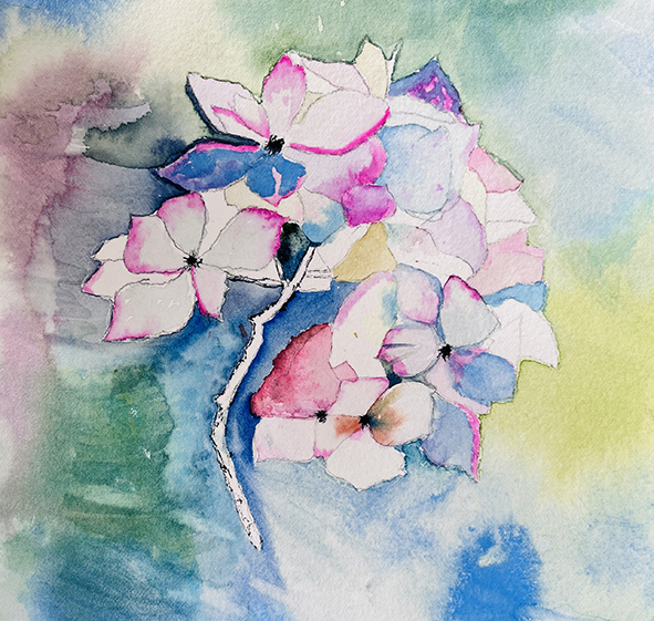 Fleurs aquarelle hortensia 67