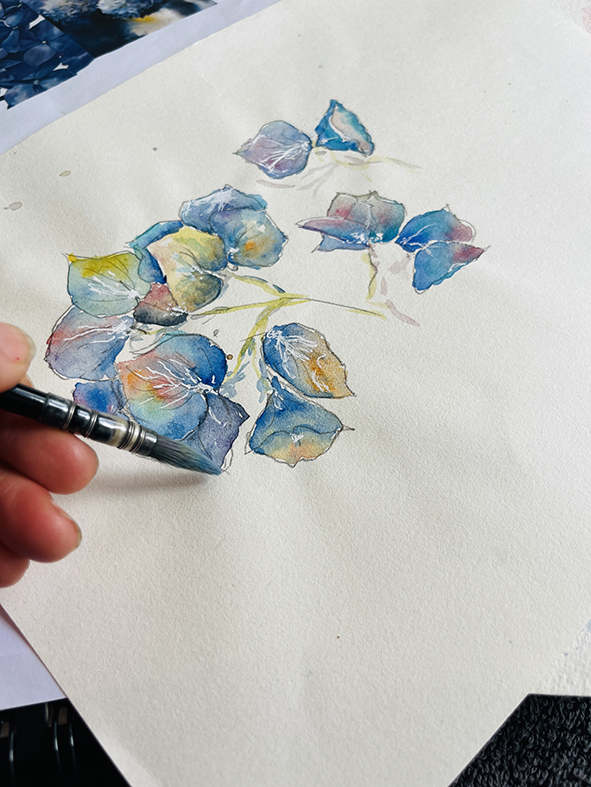 Fleurs aquarelle hortensia 70