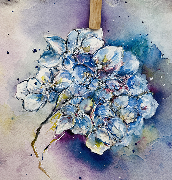 Fleurs aquarelle hortensia 71